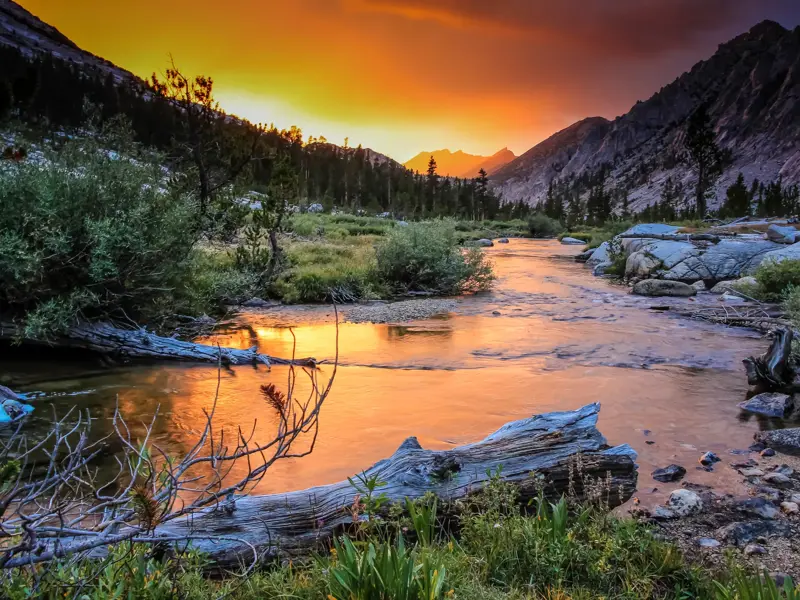 Kingscanyon
