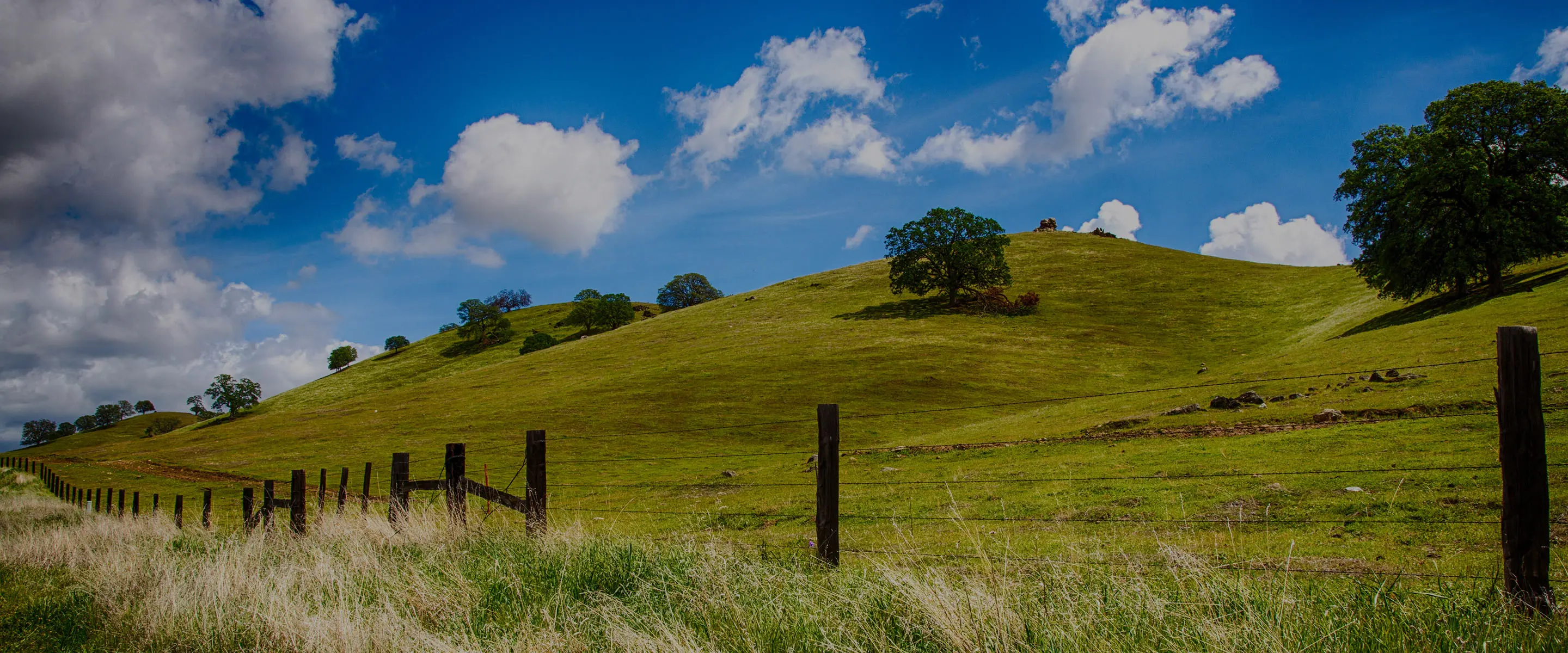 Living & working here